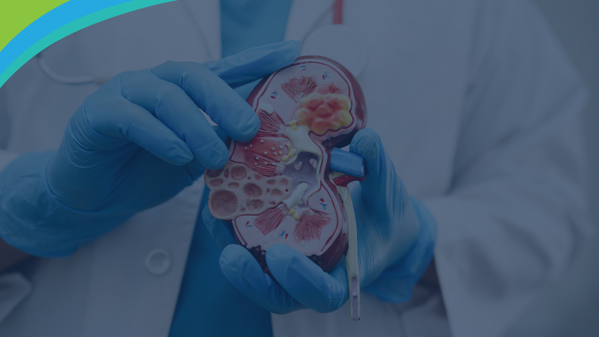 câncer rim hereditário